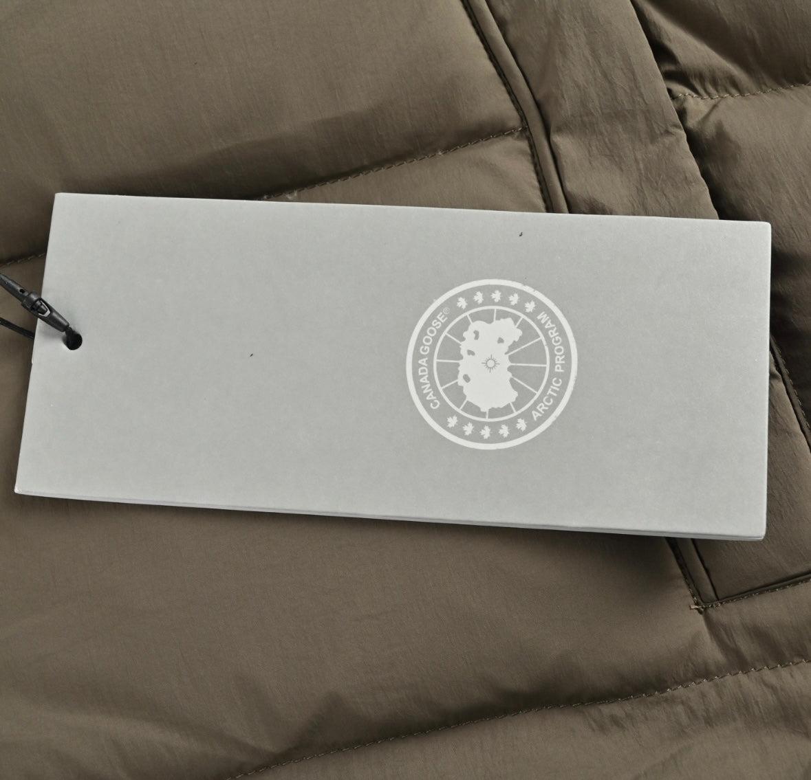 Arctic Program Down Jacket